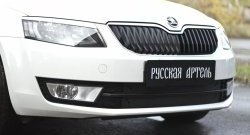 979 р. Зимняя заглушка решетки переднего бампера РА  Skoda Octavia  A7 (2012-2020) дорестайлинг лифтбэк, дорестайлинг универсал, рестайлинг универсал  с доставкой в г. Новочеркасск. Увеличить фотографию 1