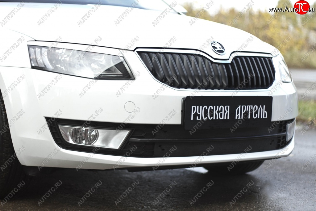 979 р. Зимняя заглушка решетки переднего бампера РА  Skoda Octavia  A7 (2012-2020) дорестайлинг лифтбэк, дорестайлинг универсал, рестайлинг универсал  с доставкой в г. Новочеркасск