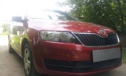 2 339 р. Сетка на бампер Russtal (черная) Skoda Rapid NH3 дорестайлинг лифтбэк (2012-2017)  с доставкой в г. Новочеркасск. Увеличить фотографию 3