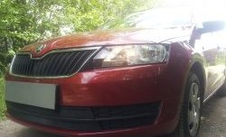 Сетка на бампер Russtal (черная) Skoda Rapid NH3 дорестайлинг лифтбэк (2012-2017)