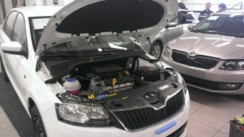 Упоры капота Russtal Skoda Rapid NH3 дорестайлинг лифтбэк (2012-2017)