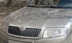 1 649 р. Реснички на фары CT  Skoda Superb  седан (2001-2006) 3U дорестайлинг (Неокрашенные)  с доставкой в г. Новочеркасск. Увеличить фотографию 2