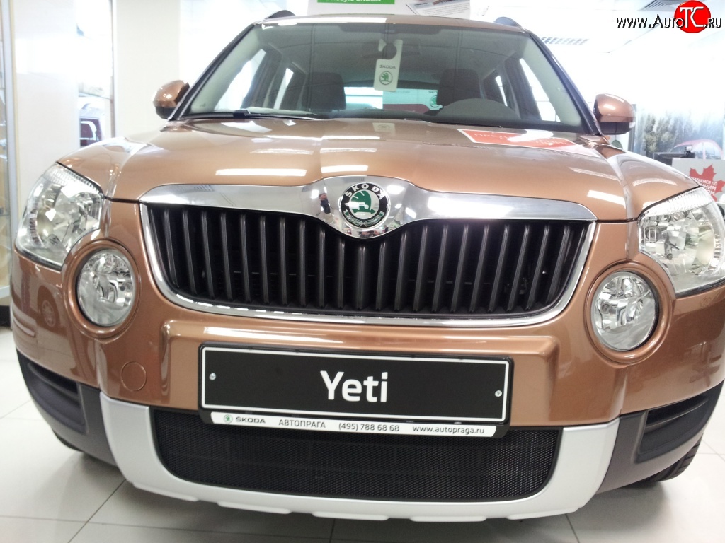 1 469 р. Сетка на бампер Russtal (черная)  Skoda Yeti (2009-2013)  с доставкой в г. Новочеркасск