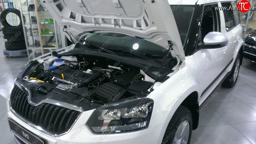 2 199 р. Газовый упор капота Berkut Skoda Yeti (2009-2013)  с доставкой в г. Новочеркасск