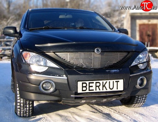 5 999 р. Декоративная вставка решетки радиатора Berkut SSANGYONG Actyon Sport (2006-2011)  с доставкой в г. Новочеркасск