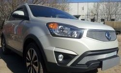 1 539 р. Сетка в решетку радиатора Russtal SSANGYONG Actyon рестайлинг (2013-2021) (хром)  с доставкой в г. Новочеркасск. Увеличить фотографию 2