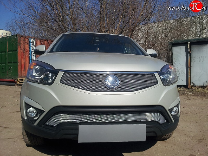 1 539 р. Сетка в решетку радиатора Russtal SSANGYONG Actyon рестайлинг (2013-2021) (хром)  с доставкой в г. Новочеркасск