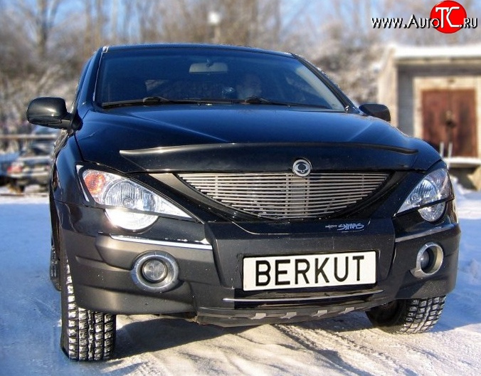 5 999 р. Декоративная вставка решетки радиатора Berkut SSANGYONG Actyon 1 (2006-2010)  с доставкой в г. Новочеркасск