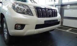 Сетка на бампер Russtal (черная) Toyota Land Cruiser Prado J150 дорестайлинг (2009-2013)