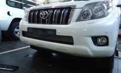 1 539 р. Сетка на бампер Russtal (хром) Toyota Land Cruiser Prado J150 дорестайлинг (2009-2013)  с доставкой в г. Новочеркасск. Увеличить фотографию 2