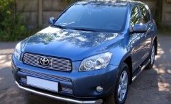 5 199 р. Декоративная вставка воздухозаборника (XA30) Berkut Toyota RAV4 XA305 5 дв. дорестайлинг (2005-2009)  с доставкой в г. Новочеркасск. Увеличить фотографию 1