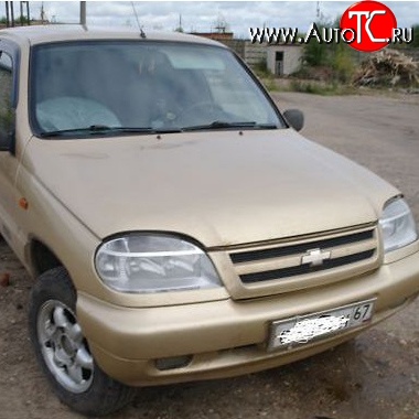 22 449 р. Капот Стандартный Chevrolet Niva 2123 рестайлинг (2009-2020) (Окрашенная)  с доставкой в г. Новочеркасск