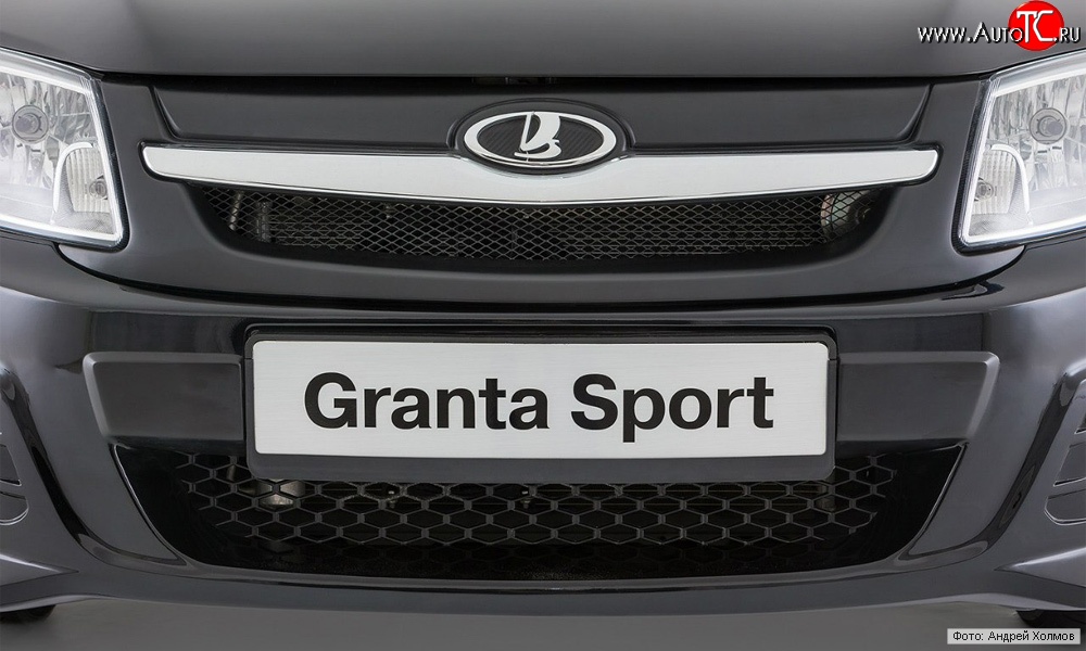 1 939 р. Решётка радиатора Granta Sport ВИС 2349 бортовой грузовик дорестайлинг (2012-2018) (Неокрашенная)  с доставкой в г. Новочеркасск